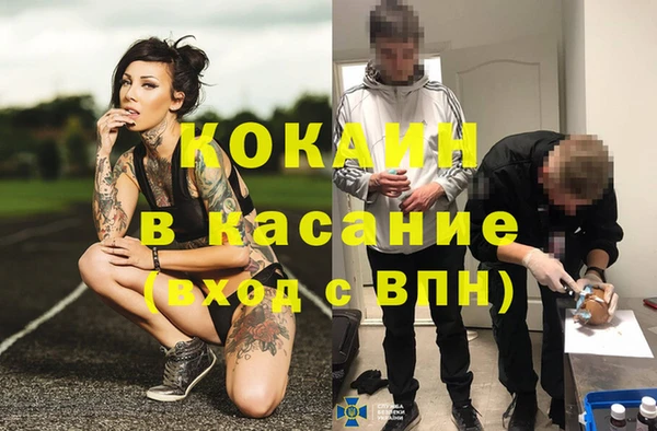 молекула духа Алзамай