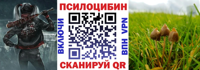 Галлюциногенные грибы мухоморы  МЕГА как войти  Неман 